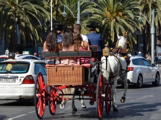 De paseo por la ciudad en coche de caballos